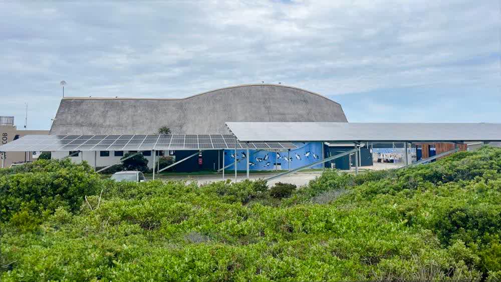 A solar car port built by SA OffGrid Power in Gqeberha (Port Elizabeth)